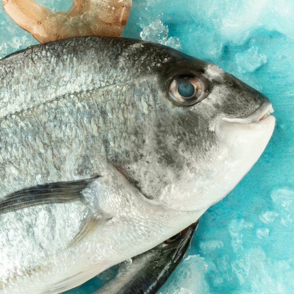 Hatzikelis Seafood More Fresh Fish