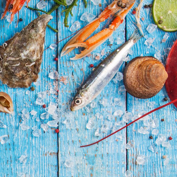 Hatzikelis Seafood More Fresh Fish