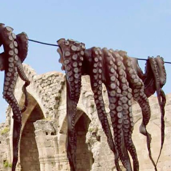 Hatzikelis Seafood More Fresh Fish